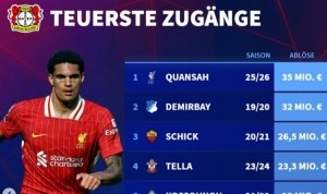 德转列药厂队史引援榜：宽萨3500万成标王，希克、博尼法斯在列