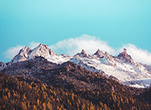 星空体育app-九游体育app：指尖掌控全球赛事，点亮你的体育日常