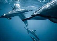 xingkong-能否反弹？NBA官方晒杜兰特入场穿搭视频：造型相当帅气